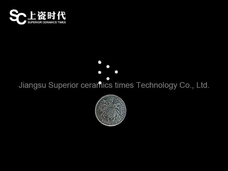 血管閉環(huán)器的陶瓷銷釘