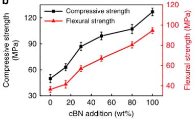 image005.jpg image005.jpg